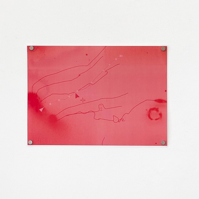 Shelley Odradek